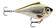 Vaappu Rapala Rippin’ Rap® 5 cm - Vaaput - 022677305011 - 1