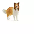 Koira Collie Schleich - Schleich husdyr - 4059433761701 - 1