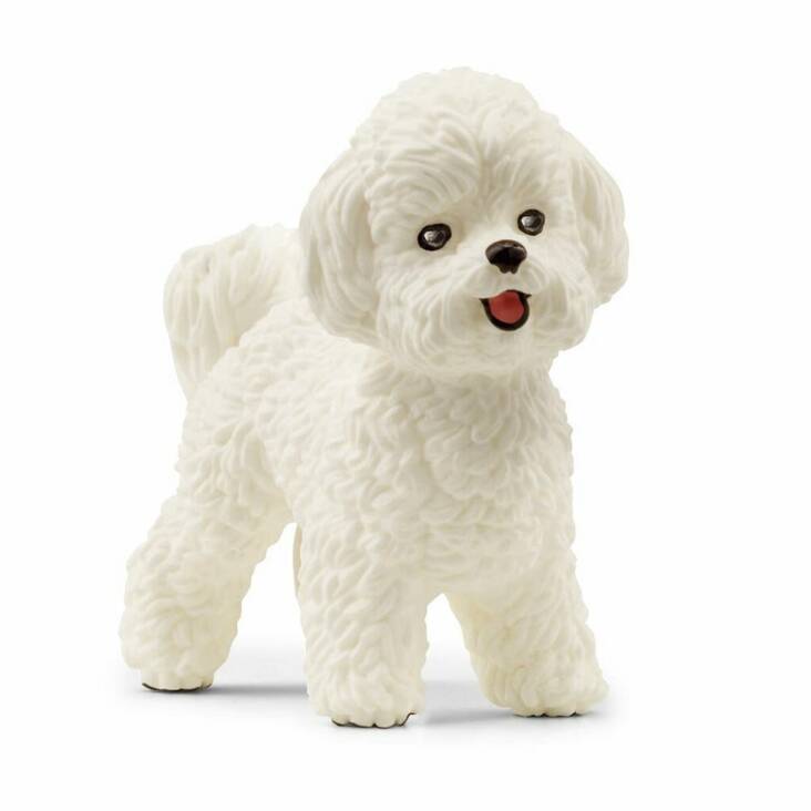 Koira Bichon Frise Schleich - Schleich kotieläimet - 4059433527611 - 1