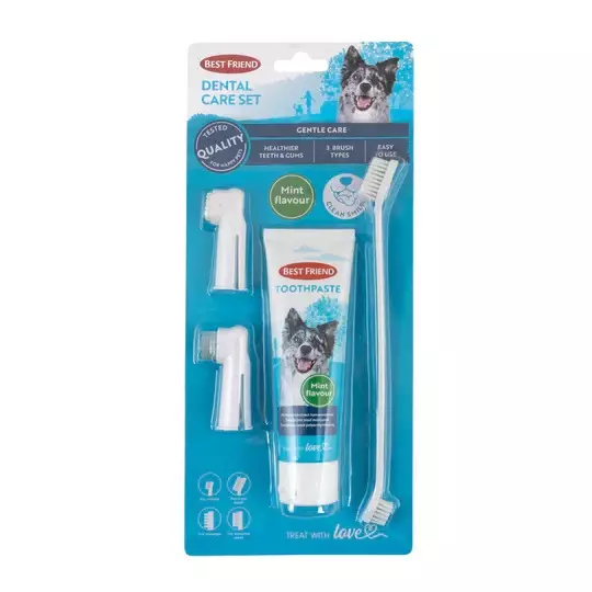 Koiran hammashoitosetti - Koiran hoitoaineet ja välineet - 5700551160332 - 1