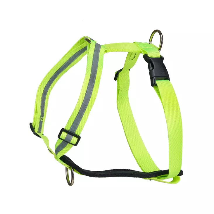 Koiran valjaat Finnero Salon - Hundebånd og Turutstyr - 3912300014922 - 1