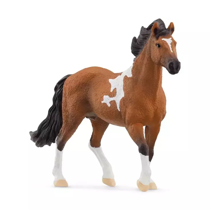 Hevonen Mangalarga Marchador Schleich - Schleich hevoset - 4059433753645 - 1