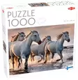 Palapeli White horses on the beach - 1000 brikkers puslespill - 6416739606668 - 1