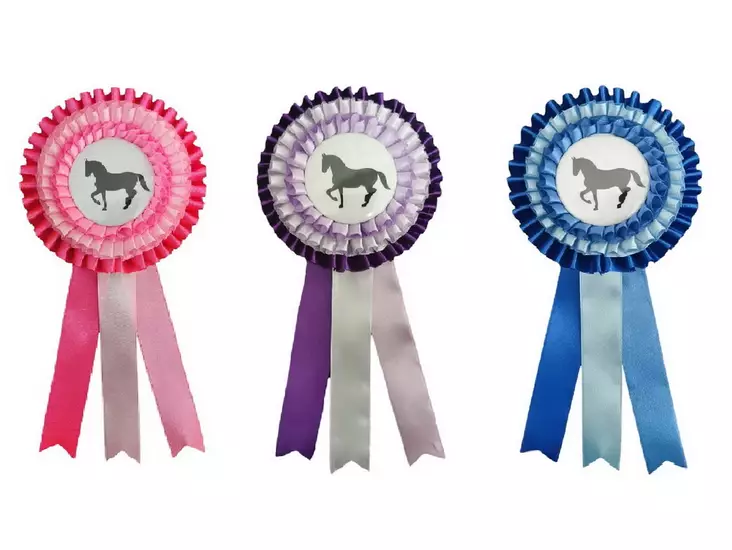 Palkintoruusuke keppihevoselle 3kpl - Lasten roolileikkilelut - 6438484008788 - 1