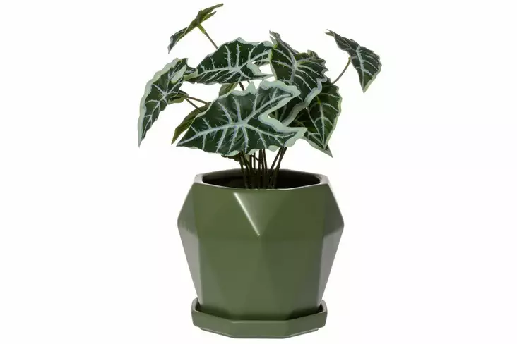 Ruukku Aluslautasella Vihreä Henna - Planteutstyr - 6410416336848 - 1