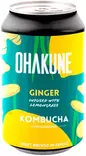 Teejuoma Kombucha Ohakun Ginger - Limut - 6430078960229 - 1
